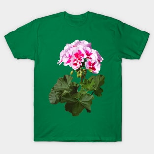 Geraniums - Red And Pink Geranium T-Shirt